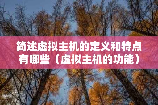 简述虚拟主机的定义和特点有哪些（虚拟主机的功能）