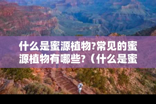 什么是蜜源植物?常见的蜜源植物有哪些?（什么是蜜源植物常见的蜜源植物有哪些）
