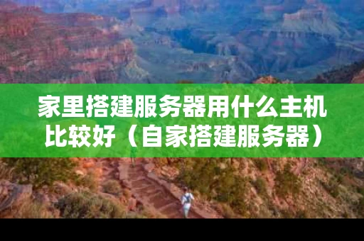 家里搭建服务器用什么主机比较好（自家搭建服务器）