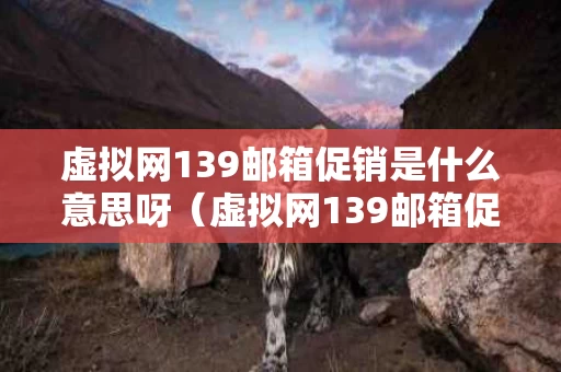 虚拟网139邮箱促销是什么意思呀（虚拟网139邮箱促销怎么取消）