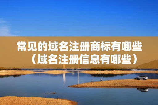 常见的域名注册商标有哪些（域名注册信息有哪些）