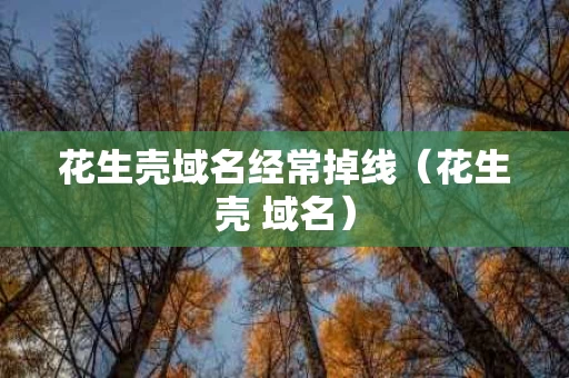 花生壳域名经常掉线（花生壳 域名）
