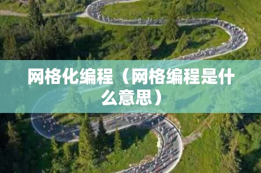 网格化编程（网格编程是什么意思）