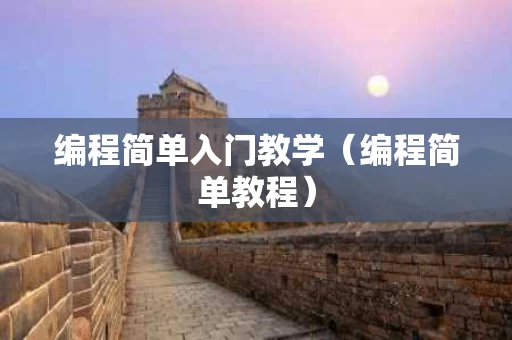 编程简单入门教学（编程简单教程）