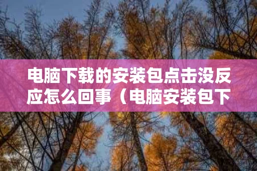 电脑下载的安装包点击没反应怎么回事（电脑安装包下载不完整怎么办）