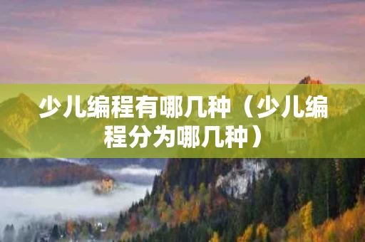 少儿编程有哪几种（少儿编程分为哪几种）