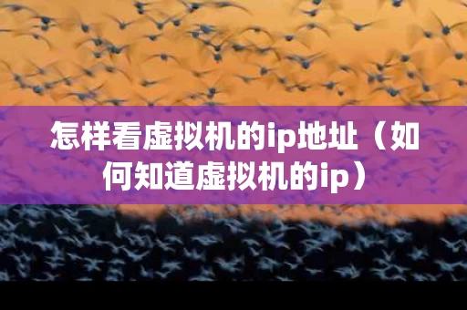 怎样看虚拟机的ip地址（如何知道虚拟机的ip）