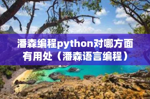 潘森编程python对哪方面有用处（潘森语言编程）