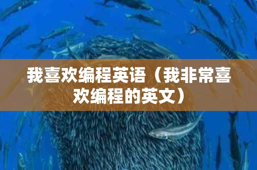 我喜欢编程英语（我非常喜欢编程的英文）