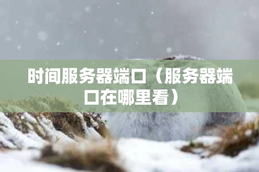 时间服务器端口（服务器端口在哪里看）