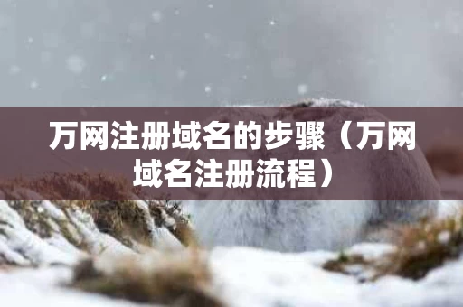 万网注册域名的步骤（万网域名注册流程）