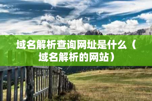 域名解析查询网址是什么（域名解析的网站）