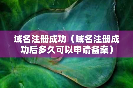 域名注册成功（域名注册成功后多久可以申请备案）