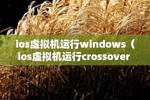 ios虚拟机运行windows（ios虚拟机运行crossover office）