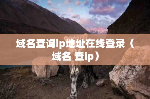 域名查询ip地址在线登录（域名 查ip）