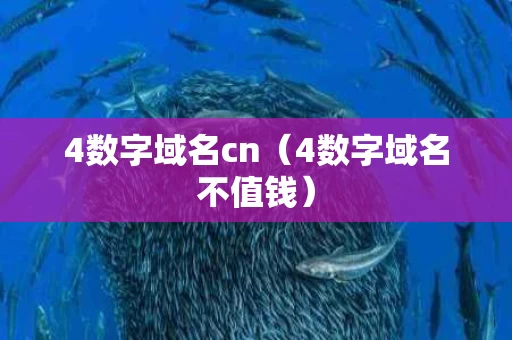 4数字域名cn（4数字域名不值钱）