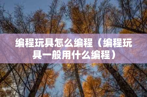 编程玩具怎么编程（编程玩具一般用什么编程）