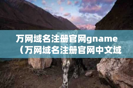 万网域名注册官网gname（万网域名注册官网中文域名）