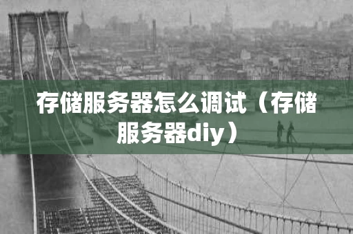 存储服务器怎么调试（存储服务器diy）