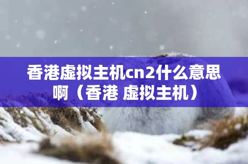 香港虚拟主机cn2什么意思啊（香港 虚拟主机）