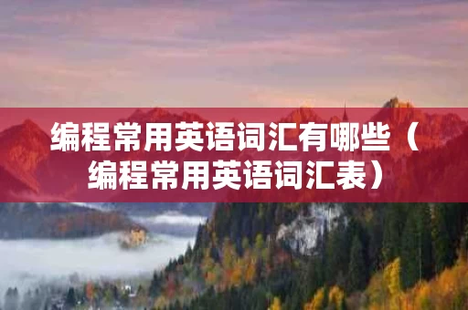 编程常用英语词汇有哪些（编程常用英语词汇表）