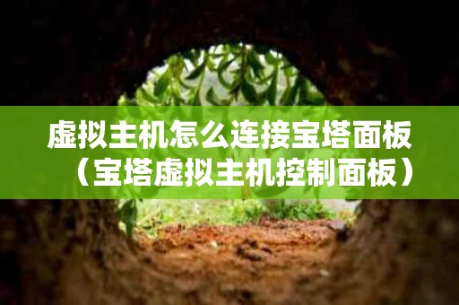 虚拟主机怎么连接宝塔面板（宝塔虚拟主机控制面板）