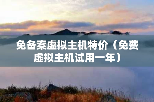免备案虚拟主机特价（免费虚拟主机试用一年）