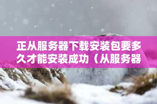正从服务器下载安装包要多久才能安装成功（从服务器下载文件时出现错误怎么办）