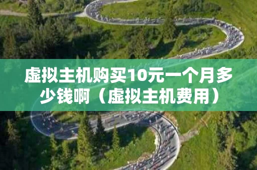 虚拟主机购买10元一个月多少钱啊（虚拟主机费用）