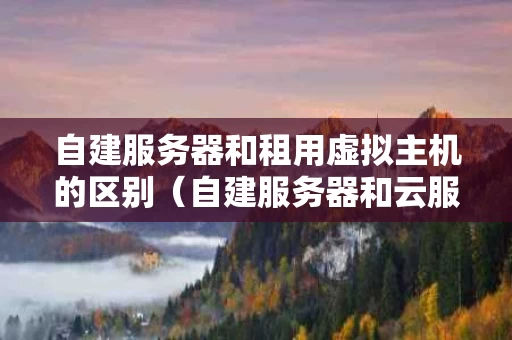 自建服务器和租用虚拟主机的区别（自建服务器和云服务器的优缺点）