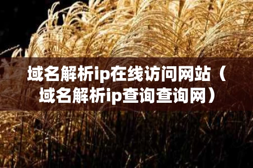 域名解析ip在线访问网站（域名解析ip查询查询网）