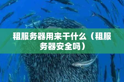 租服务器用来干什么（租服务器安全吗）