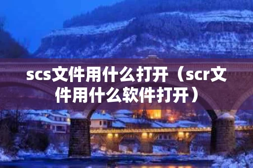 scs文件用什么打开（scr文件用什么软件打开）