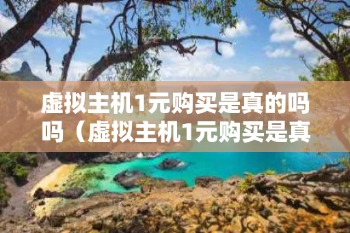 虚拟主机1元购买是真的吗吗（虚拟主机1元购买是真的吗吗安全吗）