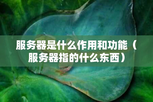 服务器是什么作用和功能（服务器指的什么东西）