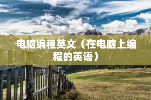 电脑编程英文（在电脑上编程的英语）