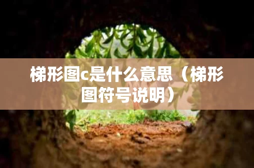 梯形图c是什么意思（梯形图符号说明）