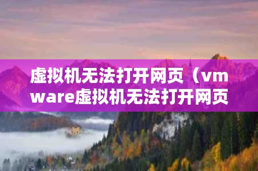 虚拟机无法打开网页（vmware虚拟机无法打开网页）