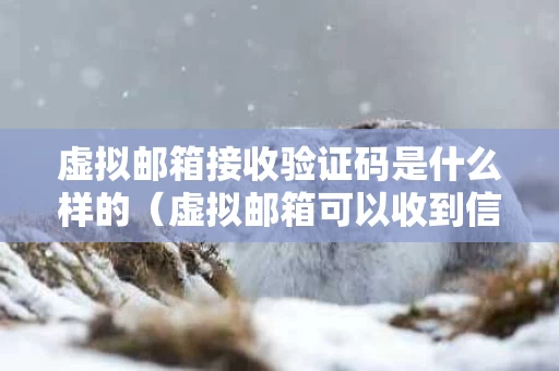 虚拟邮箱接收验证码是什么样的（虚拟邮箱可以收到信息吗）
