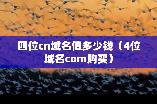 四位cn域名值多少钱（4位域名com购买）