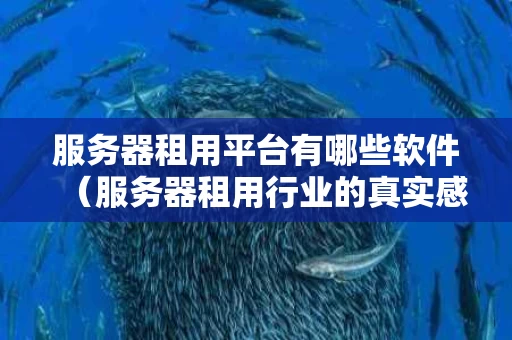 服务器租用平台有哪些软件（服务器租用行业的真实感受）