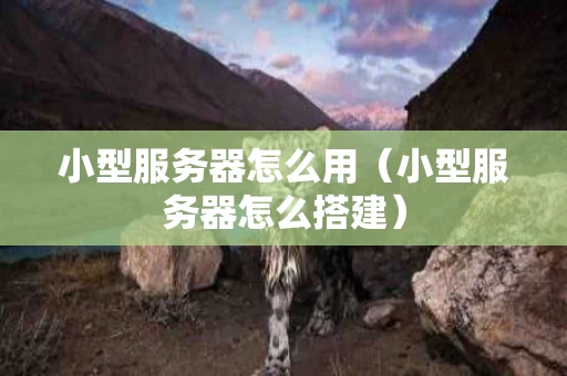 小型服务器怎么用（小型服务器怎么搭建）