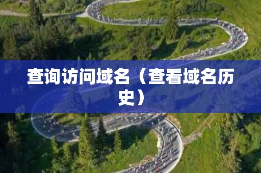 查询访问域名（查看域名历史）
