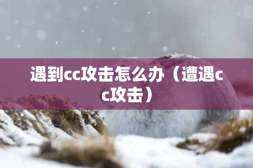 遇到cc攻击怎么办（遭遇cc攻击）