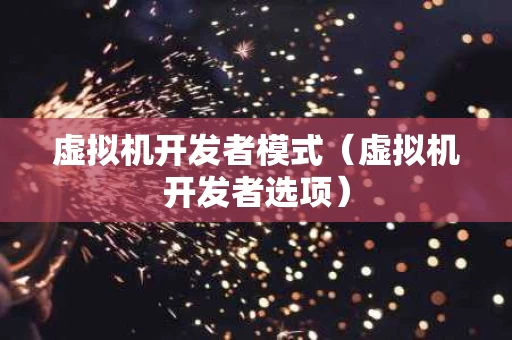 虚拟机开发者模式（虚拟机开发者选项）