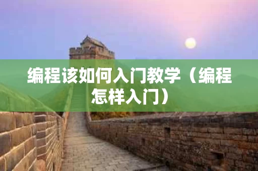 编程该如何入门教学（编程怎样入门）
