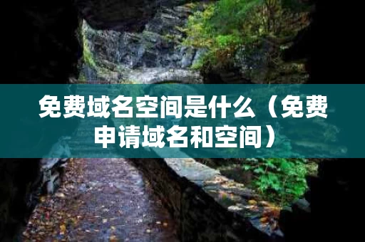 免费域名空间是什么（免费申请域名和空间）