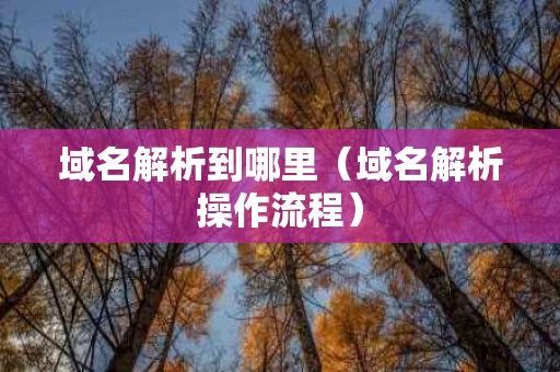 域名解析到哪里（域名解析操作流程）