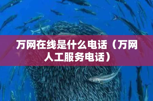 万网在线是什么电话（万网人工服务电话）