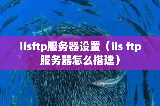 iisftp服务器设置（iis ftp服务器怎么搭建）